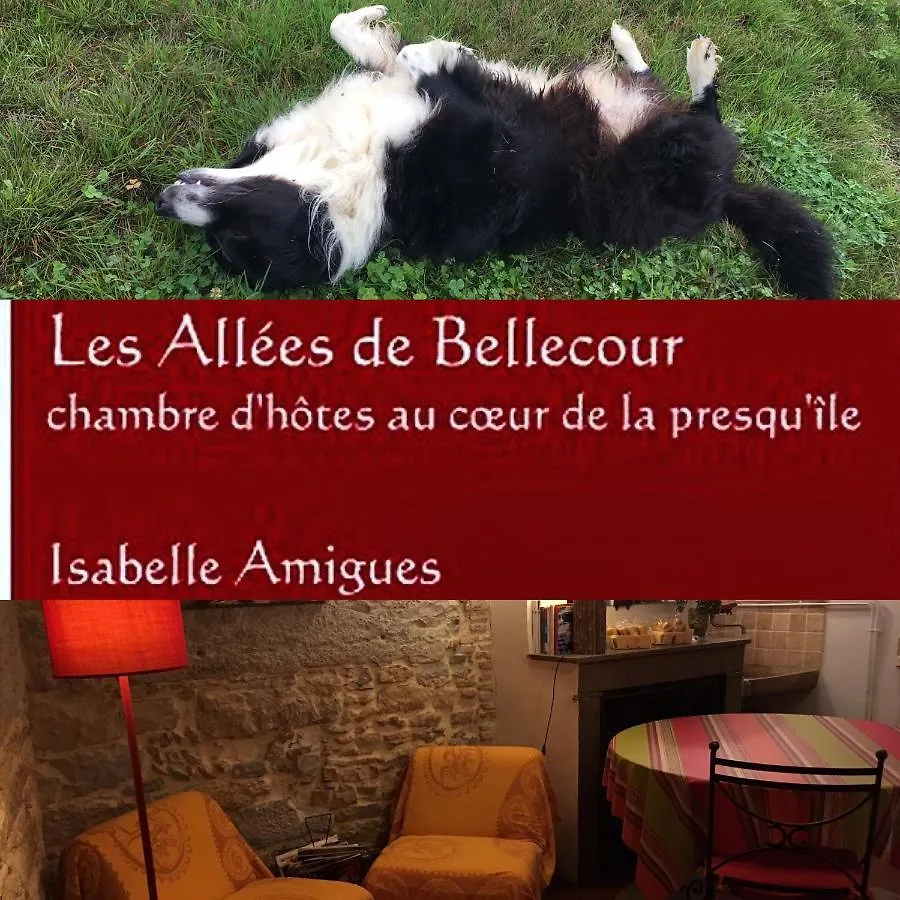 Les Allées de Bellecour Lione Appartamento